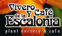 Café de la Escalonia, café y vivero en Antigua Guatemala